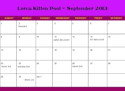 Kitty Pool Sept Calendar