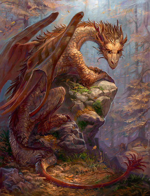 Forest-Dragon-dragons-36837042-500-652